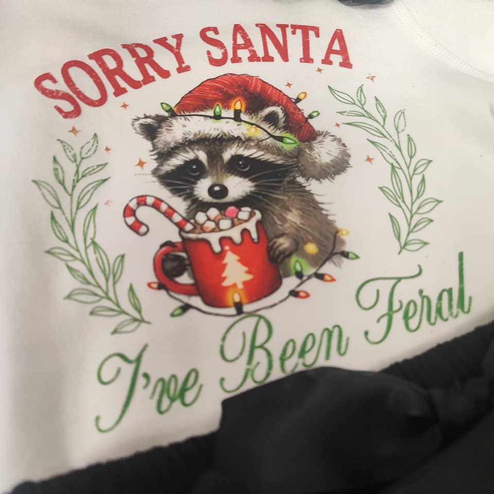 Sorry Santa, I've been feral👕 DTF Transfer